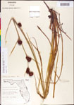 000011304-thumbnail.jpg