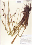 000011306-thumbnail.jpg