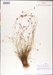 000011338-thumbnail.jpg