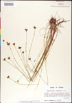 000011339-thumbnail.jpg