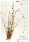 000011340-thumbnail.jpg