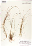 000011341-thumbnail.jpg