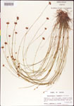 000011342-thumbnail.jpg