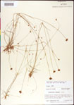 000011343-thumbnail.jpg