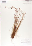 000011344-thumbnail.jpg