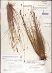 000011345-thumbnail.jpg