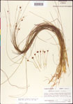 000011347-thumbnail.jpg
