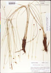 000011348-thumbnail.jpg