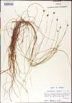 000011349-thumbnail.jpg