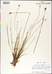 000011350-thumbnail.jpg
