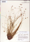 000011352-thumbnail.jpg