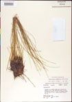 000011353-thumbnail.jpg