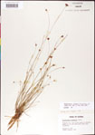 000011354-thumbnail.jpg