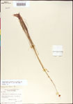 000011355-thumbnail.jpg