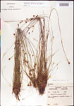 000011356-thumbnail.jpg
