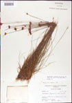 000011357-thumbnail.jpg