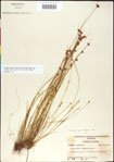 000011358-thumbnail.jpg