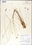 000011359-thumbnail.jpg