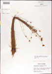 000011360-thumbnail.jpg