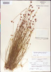 000011361-thumbnail.jpg