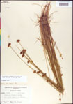 000011362-thumbnail.jpg