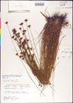 000011363-thumbnail.jpg