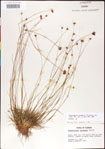 000011364-thumbnail.jpg