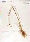 000011365-thumbnail.jpg