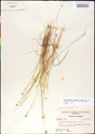 000011366-thumbnail.jpg