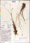 000011367-thumbnail.jpg
