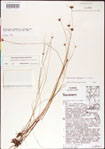 000011368-thumbnail.jpg