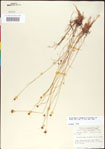 000011369-thumbnail.jpg
