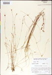 000011370-thumbnail.jpg