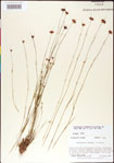 000011371-thumbnail.jpg