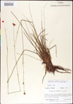 000011373-thumbnail.jpg