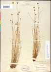 000011374-thumbnail.jpg
