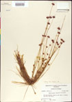 000011375-thumbnail.jpg