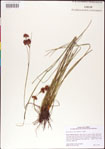 000011376-thumbnail.jpg