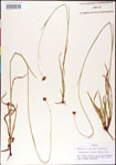 000011377-thumbnail.jpg