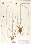 000011379-thumbnail.jpg