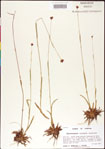 000011380-thumbnail.jpg