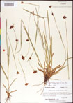 000011381-thumbnail.jpg