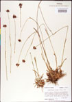 000011382-thumbnail.jpg