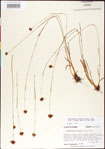 000011384-thumbnail.jpg