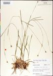 000011385-thumbnail.jpg