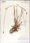 000011387-thumbnail.jpg