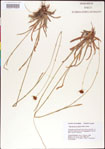 000011388-thumbnail.jpg