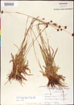 000011390-thumbnail.jpg