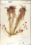 000011391-thumbnail.jpg