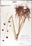 000011392-thumbnail.jpg